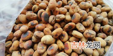 怎么判断蚕豆熟没熟,蚕豆什么时候成熟