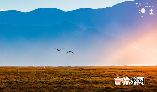 雅鲁藏布江源头在哪里,雅鲁藏布江的发源地