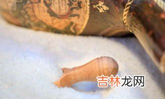 氯化钠有毒吗,氯化钠有毒吗带电吗