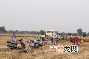 割麦是什么季节,播种，插秧，耕田，采桑，除草，割草，割麦，打谷，积肥分别属于什么季节
