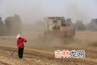 割麦是什么季节,播种，插秧，耕田，采桑，除草，割草，割麦，打谷，积肥分别属于什么季节