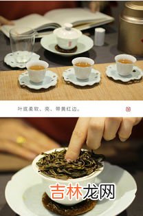 乌岽单丛茶是什么茶,乌岽单丛茶属于红茶或绿茶？