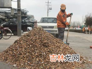 烟头属于哪类垃圾,烟头属于什么垃圾