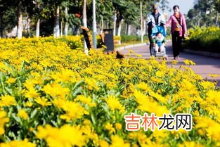 攀枝花过冬的弊端,怎么让人来攀枝花盐边过冬？