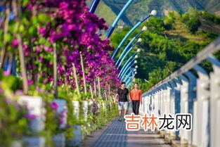 攀枝花过冬的弊端,怎么让人来攀枝花盐边过冬？