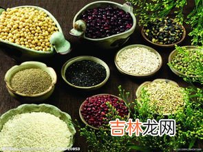霉豆子的营养价值,霉豆的制作方法及功效