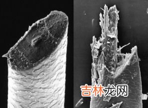 手动剃须刀的危害,经常用手动剃须刀会出现什么样的症状