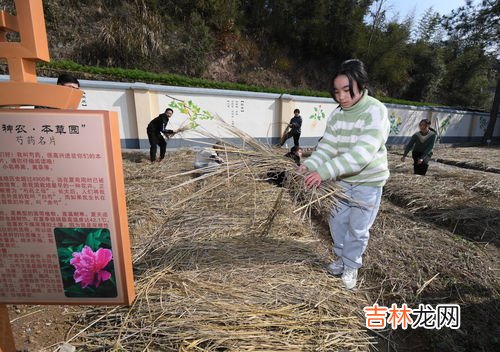 安黄芦浦药的副作用,感冒药有哪些副作用?感冒药副作用一览