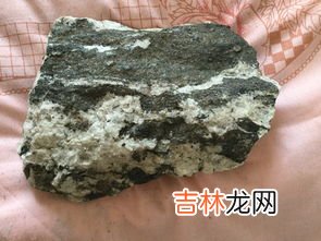 化石是属于什么岩石类型的,古生物化石是什么岩石