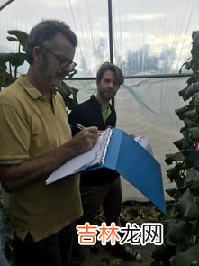 哈密瓜是热带水果吗,哈密瓜是水果吗，属于热带水果还是温带水果