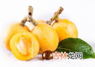 枇杷糖分高吗,枇杷是高糖水果还是低糖水果