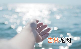 关于避风港的唯美句子,关于避风港的句子有哪些？