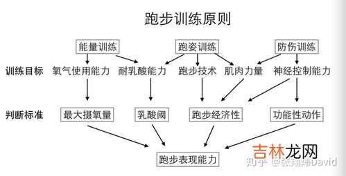 怎么进行心肺训练,心肺耐力如何锻炼