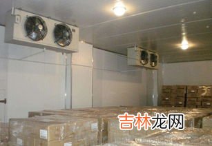 四季豆的冷库保存方法,四季豆怎么保存 四季豆可以放冰箱多久