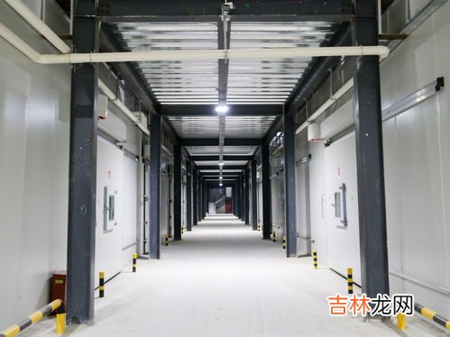 四季豆的冷库保存方法,四季豆怎么保存 四季豆可以放冰箱多久