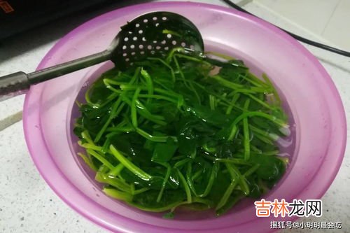 盐渍裙带菜不焯水可以吃吗,裙带菜不焯水可以吃吗