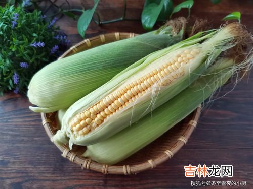 玉米须是凉性的还是热性的,玉米是凉性还是热性