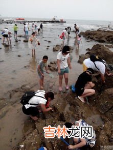 大庆赶海是哪里人,大庆赶海为什么火