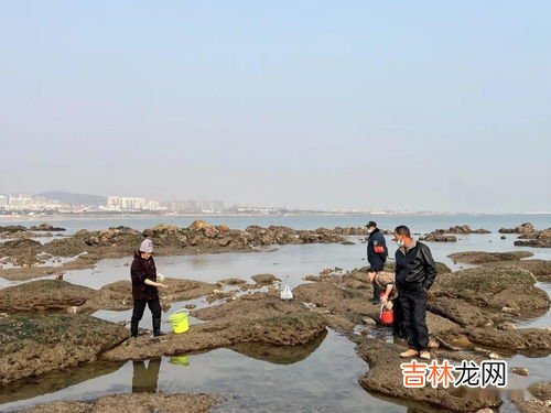 大庆赶海是哪里人,大庆赶海为什么火