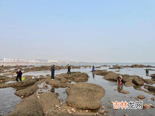 大庆赶海是哪里人,大庆赶海为什么火
