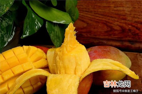 芒果怎么保存能放冰箱吗,芒果可以放冰箱吗 芒果的最佳保存方法