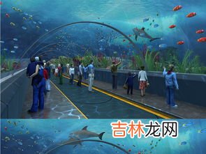 青岛海底隧道在海底多深,世界上最长的海底隧道是哪一条？