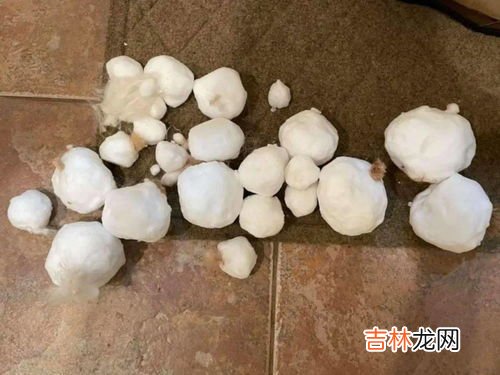 堆雪人的 怎么把雪球弄圆,有没有谁知道怎么滚雪球小雪球捏出来但是越滚越小？