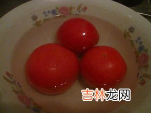 西红柿加白糖叫雪什么啊,糖拌西红柿又叫雪山飞狐为啥?