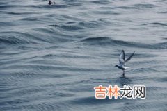 海洋香味是什么味道,海洋味香水像什么气味 海洋味香水介绍