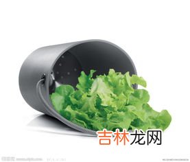 为什么要将水果蔬菜放在冰箱中,冬天蔬菜需要放冰箱冷藏吗