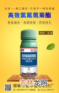 高效氯氰菊酯作用与用途,氯氰菊酯和高效氯氰菊酯的区别