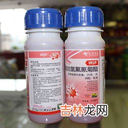 高效氯氰菊酯作用与用途,氯氰菊酯和高效氯氰菊酯的区别