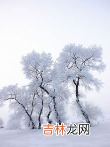 雾凇和树挂的区别,雨凇、雪凇和雾凇有什么区别？