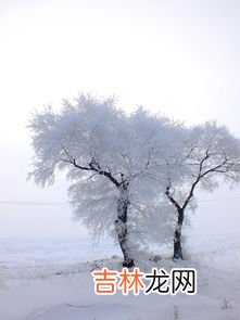 雾凇和树挂的区别,雨凇、雪凇和雾凇有什么区别？