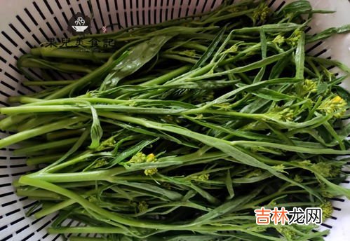 鱼露做什么菜可以用到,鱼露是酱油吗 鱼露用在什么菜上面