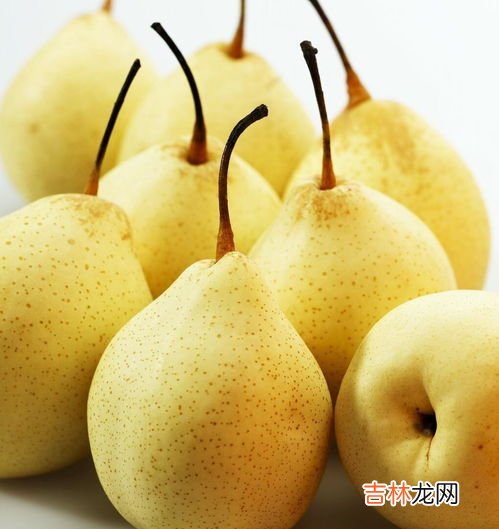 贡梨可以做冰糖雪梨吗,梨炖百合水怎么做