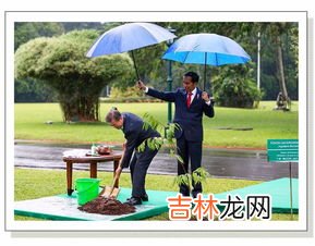 印尼女人的地位,印度女人的地位为什么那么低?
