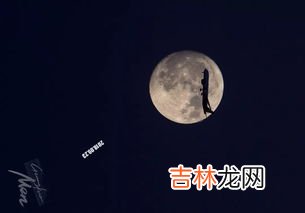 今晚的月色真美是什么梗,今晚的月色真美是什么梗