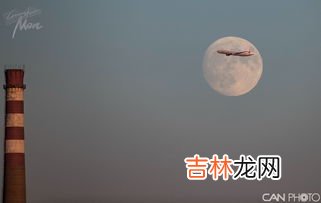 今晚的月色真美是什么梗,今晚的月色真美是什么梗