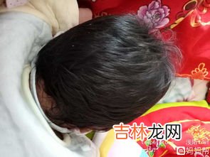 腊月初九可以剪头发吗,元旦节剪头发会涨价吗