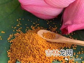 花粉片有什么用,蜂花粉片的作用