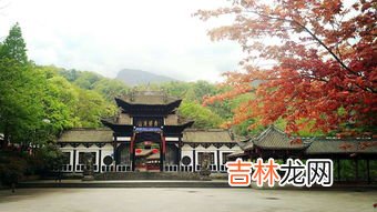 青城山前山和后山有什么区别,青城后山前山哪个好玩