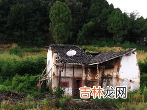 什么人不住在房子里,什么人不能住在房子里?谜语