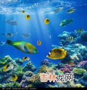 海底动物的特点,海底动物的特点有哪些？急急急