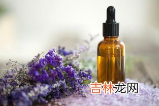 薰衣草精油作用和功效,薰衣草精油对身体有什么功效？