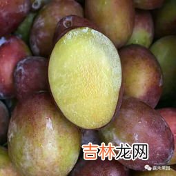 丑八怪水果产地哪里,四川丑桔和耙耙柑是不是一个品种