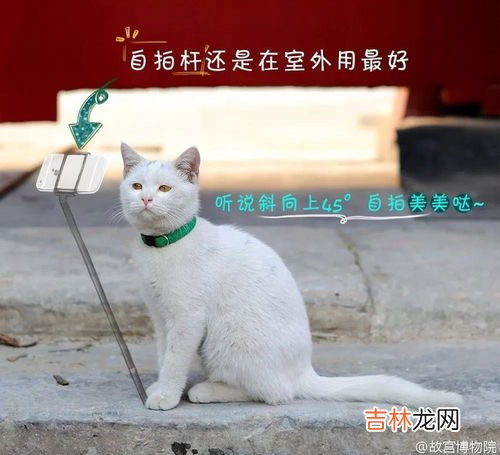 壮壮名字的寓意,崔壮壮名字含义事业，健康，家庭，