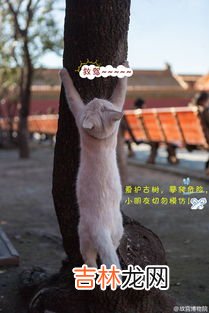壮壮名字的寓意,崔壮壮名字含义事业，健康，家庭，