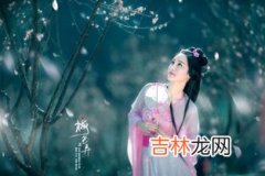 梅花三弄的三弄指什么,梅花三弄的三弄指什么