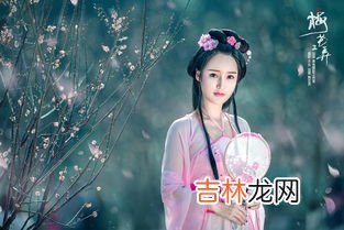 梅花三弄的三弄指什么,梅花三弄的三弄指什么